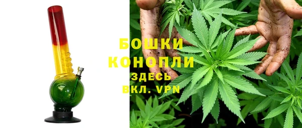 PSILOCYBIN Баксан